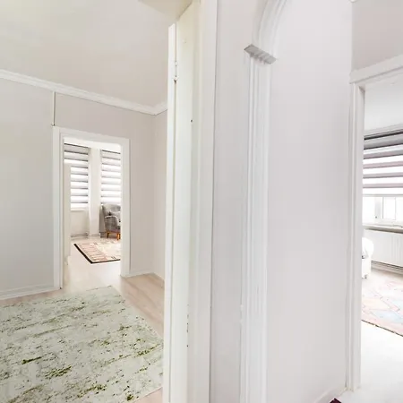 公寓 Denizpalaceapartment 伊斯坦布尔